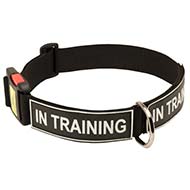 C48 - PRICE LEVEL 2 - Strong Nylon Dog Collar with Identification Patches