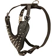 H9 - PRICE LEVEL 2 - Adjustable Leather Dog Harness with Nickel Spikes for Daily Walking