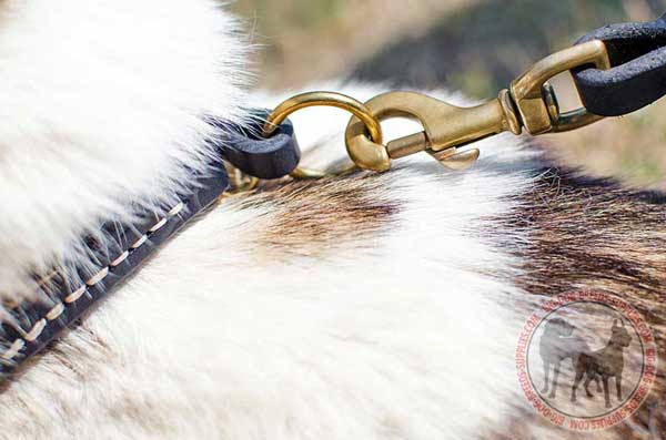 Brass Buckle and D-ring Stitched