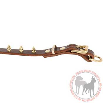 Brass Spikes Riveted to Leather Dog Collar