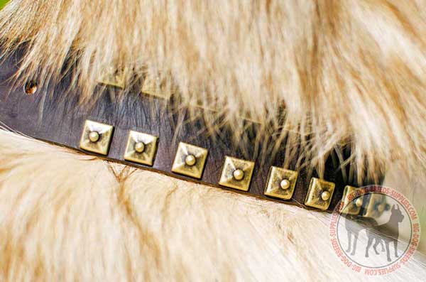 Brass Studs Secured with Rivets for Extra Durability