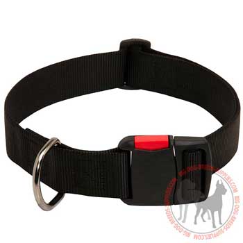Dog Nylon Collar with D-ring Leash Attachment