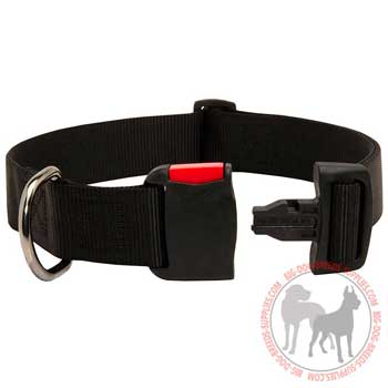 Nylon Dog Collar with Easy in Use Quick Release Buckle