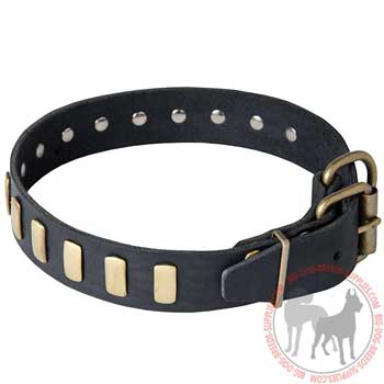 Dog Collar Leather with Solid Rust Resistant Rivets