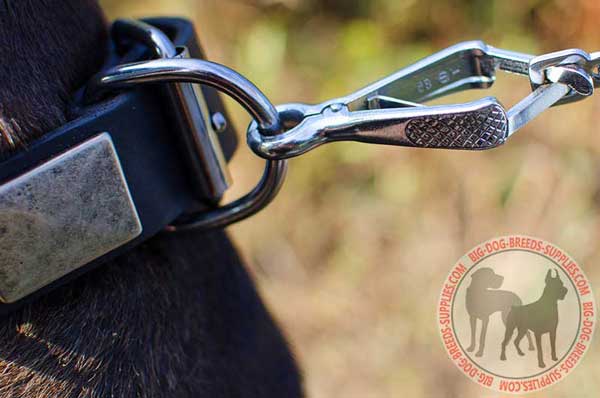 Dog collar with D-ring and nickel-plated fittings