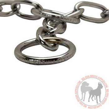 Dog chrome plated collar solid equipment