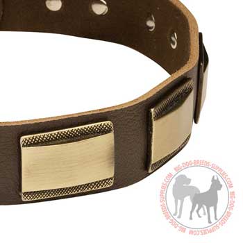 Dog collar with decoration of brass