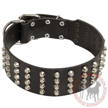 Dog leather collar with buckle and D-ring easily adjustable