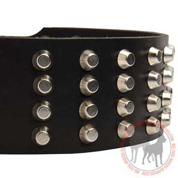 Dog leather collar durable equipment