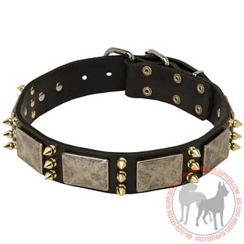 Dog collar of leather with  original decoration