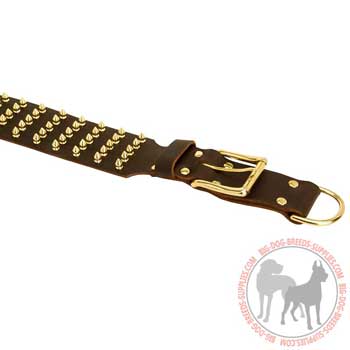 Leather walking dog collar with brass fittings 