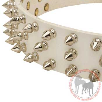 Dog leather collar splendid white color