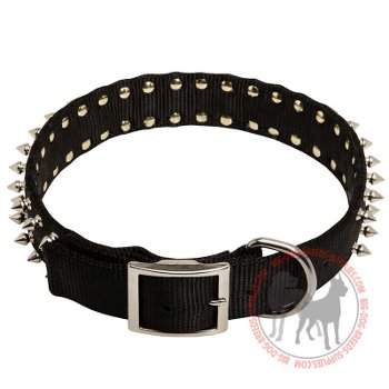 Dog nylon collar with rust proof buckle
