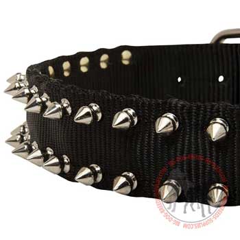Dog nylon collar fancy design