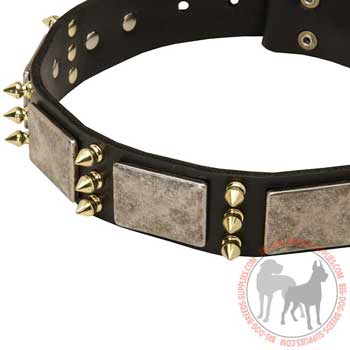 Dog collar with decoration of brass and nickel 