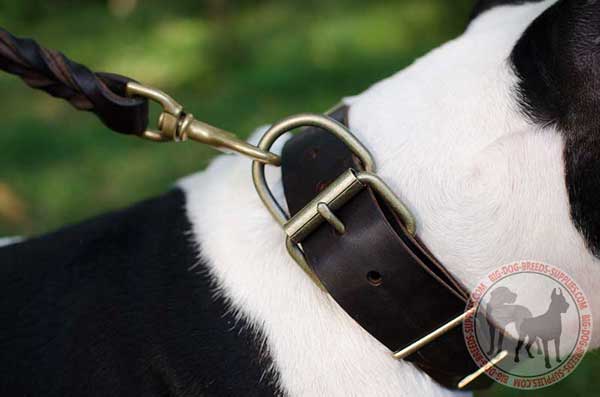 Collar for dogs with nickel-plated fittings