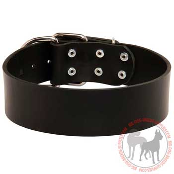 Leather dog collar with perfect width 