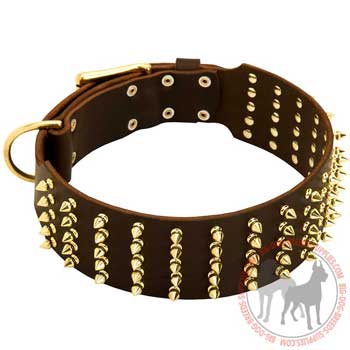 Dog 

wide leather collar with brass decoration