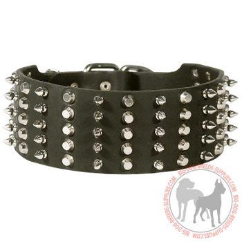 Leather walking dog collar with perfect width 