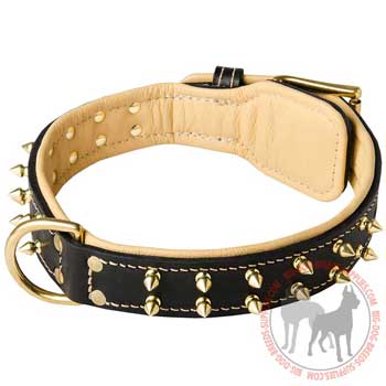 Padded Leather Dog Collar