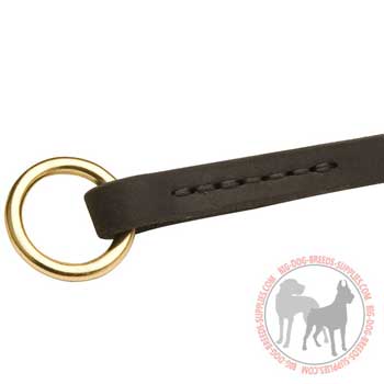 Silent 

choke collar equipped with solid brass rings