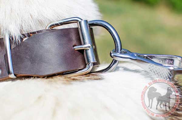 Nickel Buckle and D-ring Riveted for Extra Durability