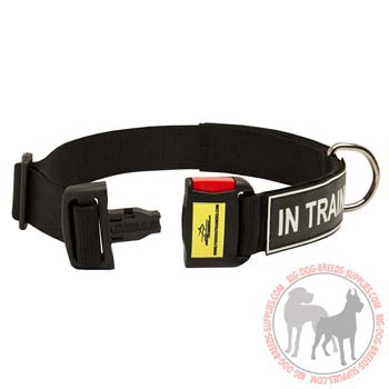High Quality Nylon Dog Collar 