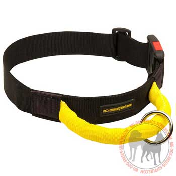 Nylon Dog Collar for Easier Controlling Your Dog