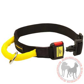Dog Collar Made of Nylon