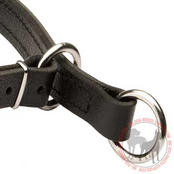 O-ring on choke dog collar - stationary and floating for
attaching a lead