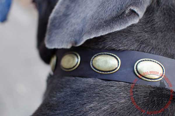 Oval Plates made of Brass