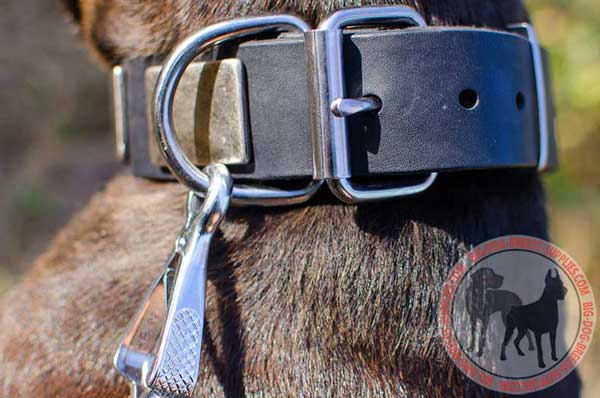 Steel Nickel Plated Ring