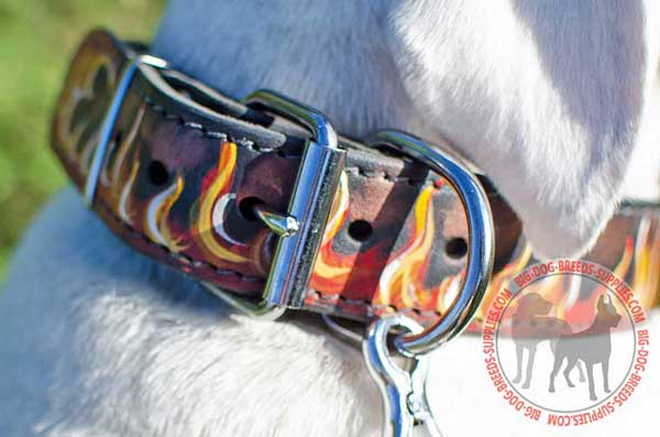 Nickel Plated Ring to Attack the Leash