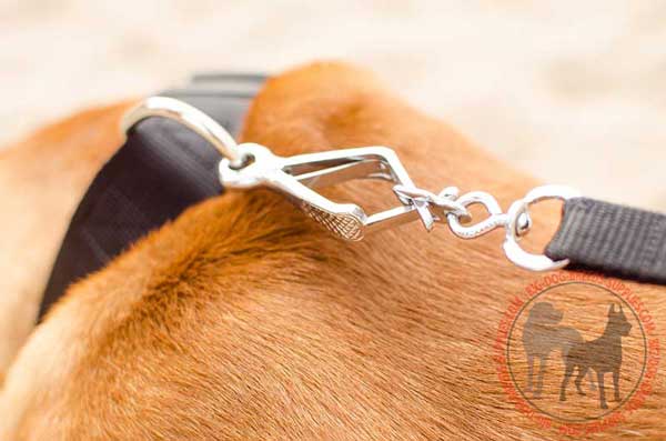 Steel Nickel Plated D-ring for Fast Leash Attachment