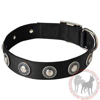 Dog nylon collar with silver colored conchos
