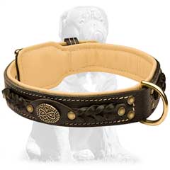 Nappa padded Mastiff collar