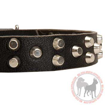 Handset nickel cones used as decoration for the leather
dog collar