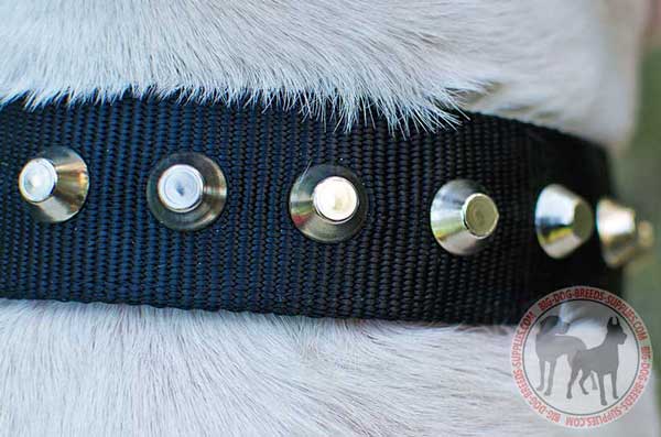 Nylon Dog Collar Studded with Pyramids