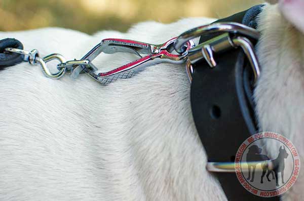 Solid Dee Ring Destined for Attaching to the Snap Hook