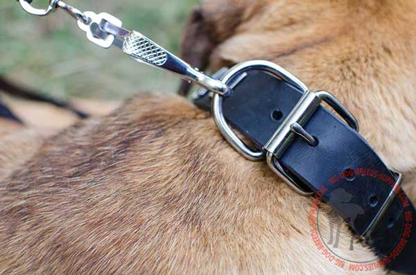 Welded D-Ring Securely Connected with the Snap Hook 