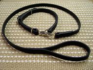 L19 - PRICE LEVEL 2 - Police / hunting" dog leash and collar (combo)