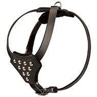 H25 - PRICE LEVEL 2 - Lightweight Dog Puppies Leather Harness for Walking and Training