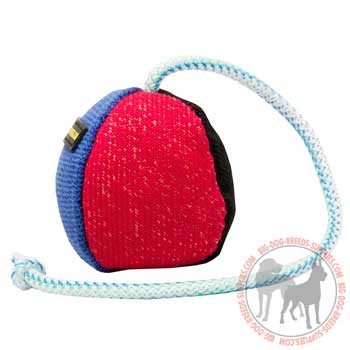 Dog training and plaiying toy on long nylon string