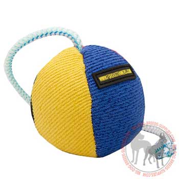 French linen training and plaiying toy for puppies