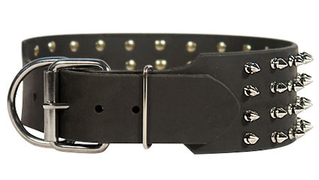 Studded Leather Dog Collar for Mastiff