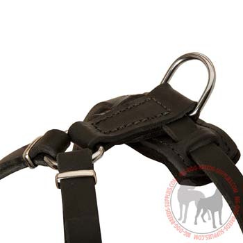 Leather back plate equipped with D-ring