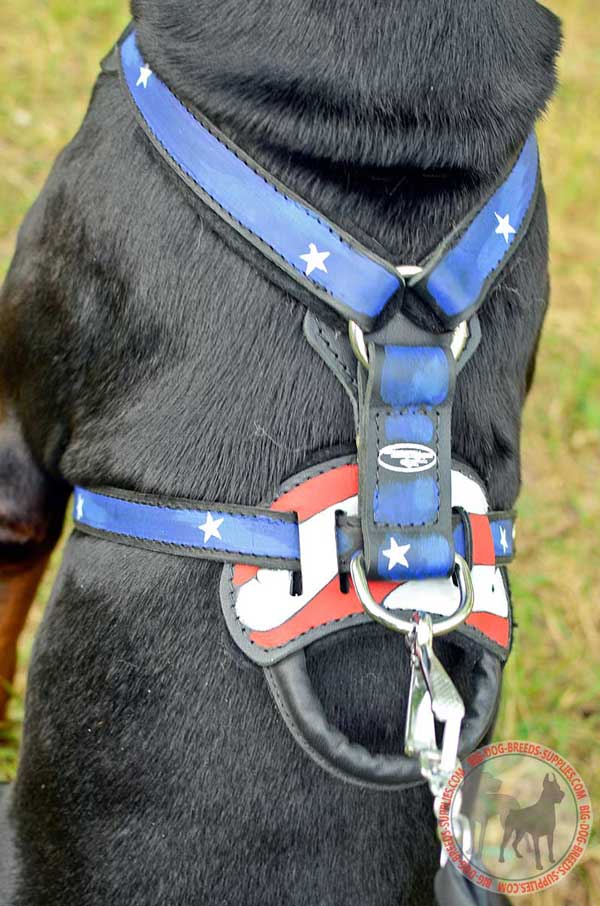 Durable handle on the back plate