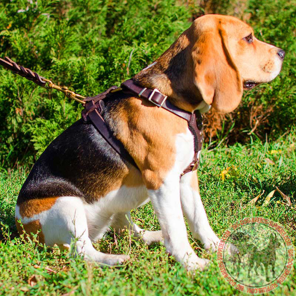 True Leather Walking Equipment