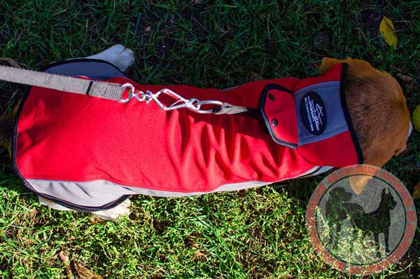 Water Resistant Nylon Coat for Beagles