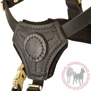 Chest Plate Padded for Better Comfort